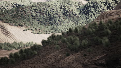 Zona-Desértica-Cerca-De-Un-Oasis-Con-Vegetación-Arbustiva