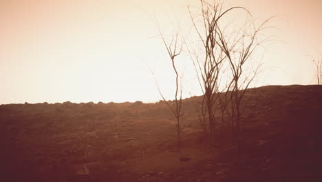 storm of dust and sand in desert