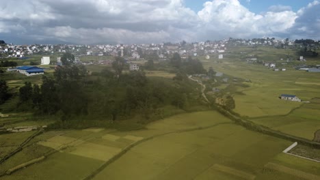 在尼泊爾山坡上的黃色米田上空飛翔, 房屋和農場