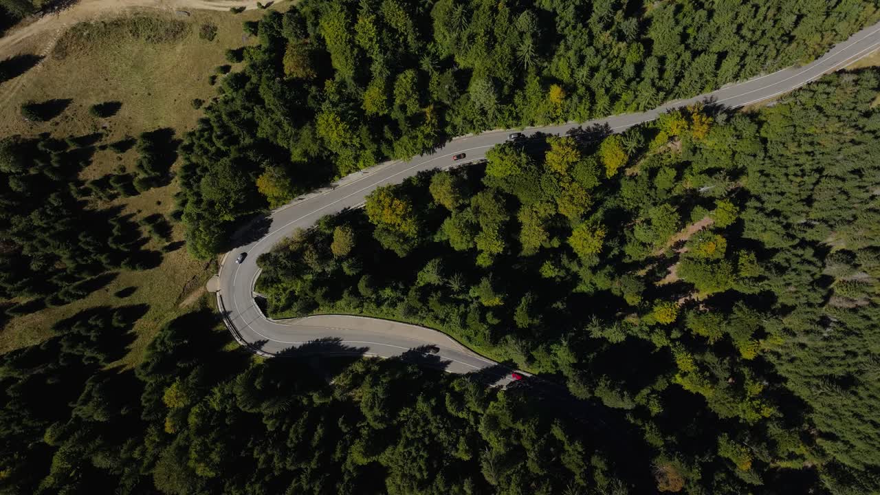 Aerial top-down footage capturing a winding mountain road cutting through a dense green forest. Cars drive along the curved asphalt surrounded by lush trees
