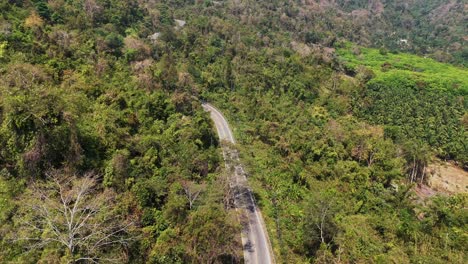 Eine-Wunderschöne-Straße,-Die-Sich-Durch-Den-Dschungel-Schlängelt