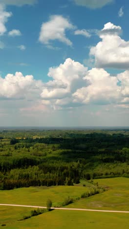 Aerial-View-of-Forest-in-Verdant-Countryside