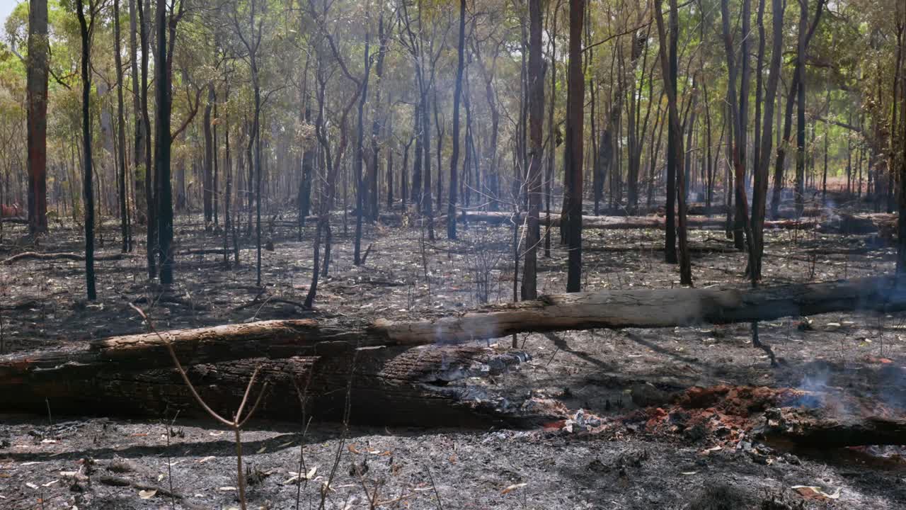 Bushfire in the Australian outback. Smoke and flames. Clip 13