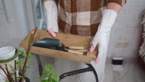farm hand wearing white gloves with pink fingertips carries wooden tool box toward glass table in cozy indoor greenhouse, preparing for plant maintenance with gentle care and organized farm tools