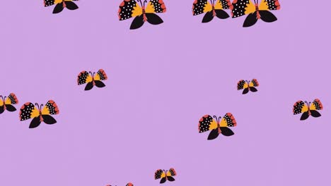 Animation-of-black-and-yellow-patterned-butterflies-floating-up-on-lilac-background