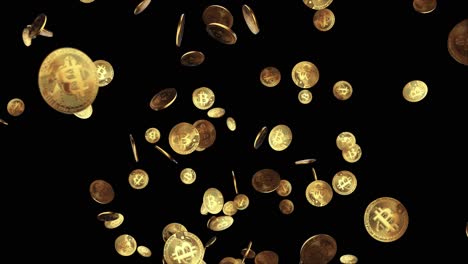 gold bitcoins fall slow motion on pile green screen loop animation background bitcoin btc coin and