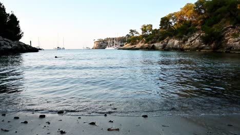 this beach is called platja del rei and is in calvia, mallorca spain