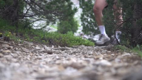 feet and legs of a hiker hiking along a rocky path with green vegetation on the sides