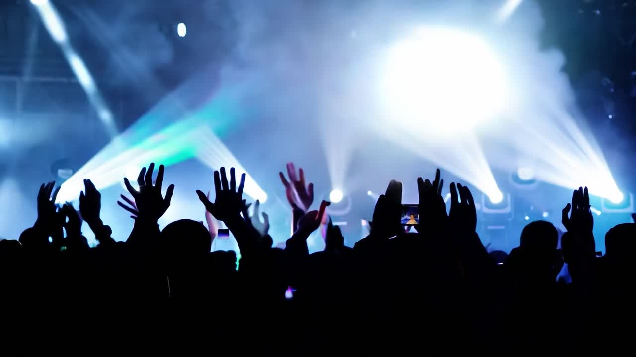 multitud en un concierto