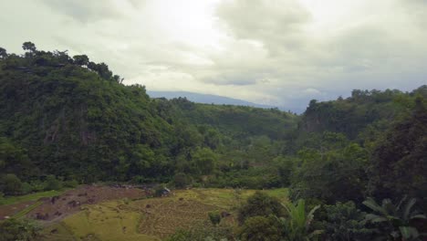 Una-Toma-Panorámica-Lenta-De-Derecha-A-Izquierda-Del-Bosque