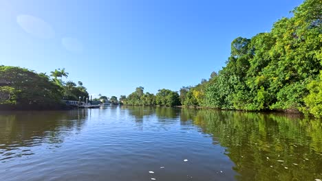 peaceful river journey through lush landscapes