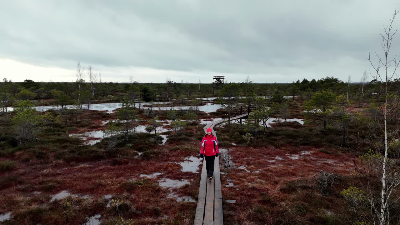 dolly toma de una mujer caminando sola a través de un pantano, un paseo marítimo de madera en primavera, se pueden ver pequeños árboles alrededor