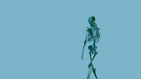 Skeleton-talking---phone---cell-