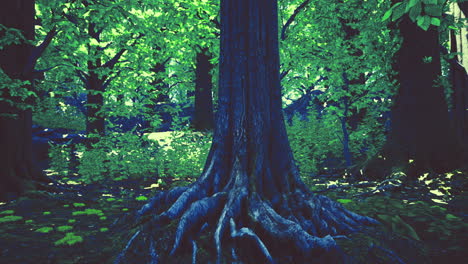 majestic tree with intricate roots surrounded by lush green forest