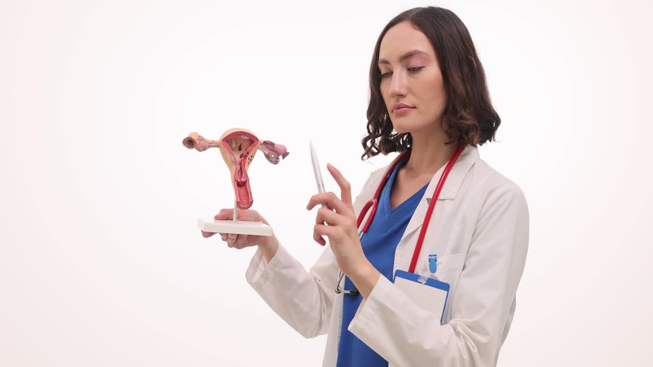 Doctor explaining the female reproductive system