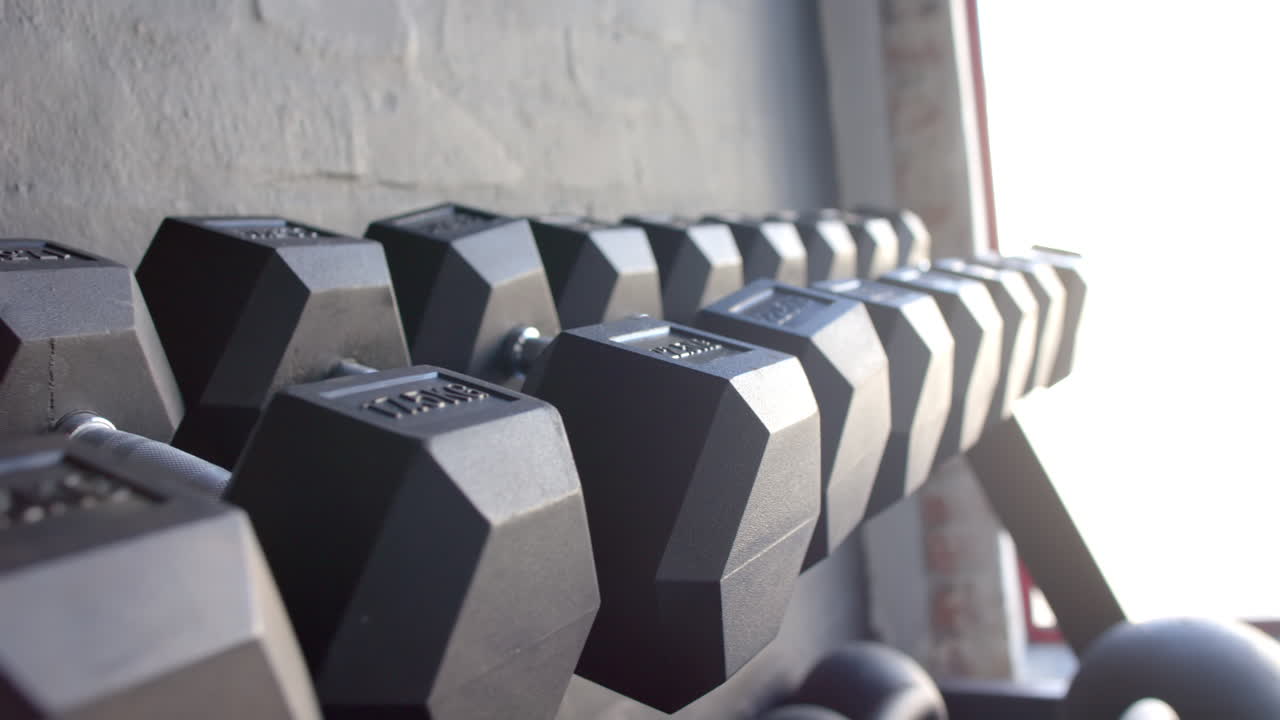 A row of heavy dumbbells rests on rack near a wall