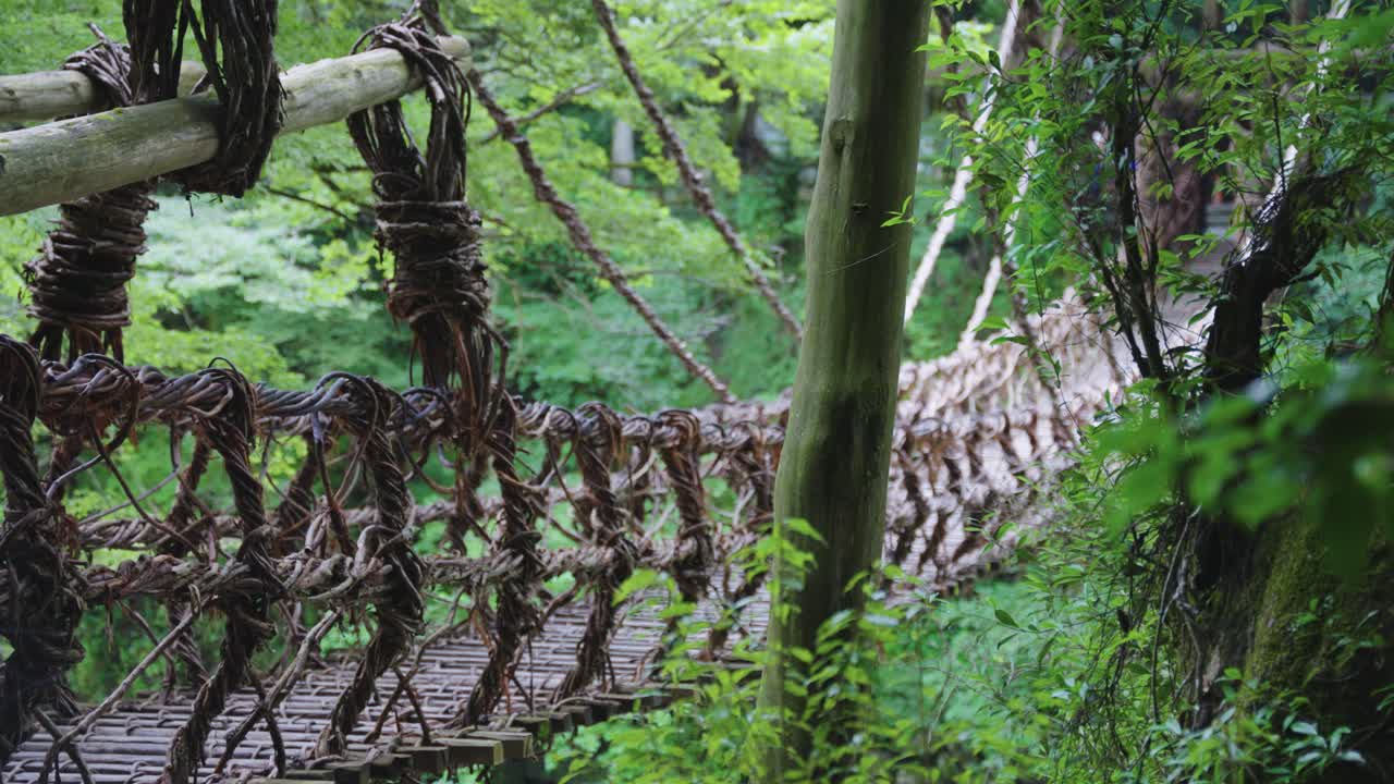 puente de la vid de kazurabashi en el valle de iya, tokushima, japón