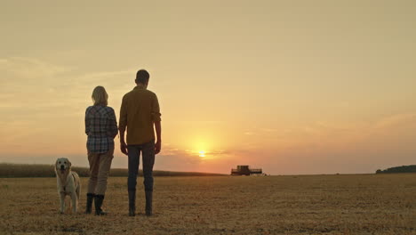 couple and dog watching sunset over farmland