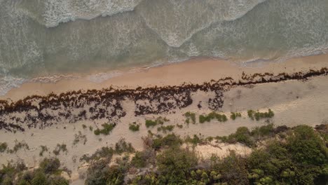 dron aéreo de ojo de pájaro estático de una playa