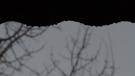 rain dripping from the edge of the old roof