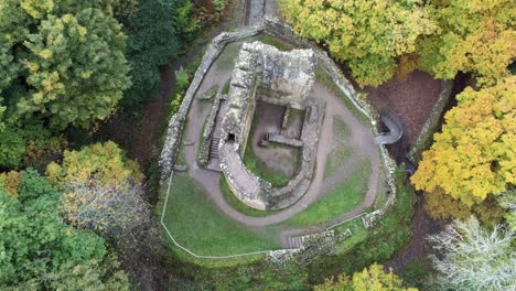 vista aérea sobre las ruinas abandonadas del castillo de ewloe escondidas en el bosque de otoño ojo de pájaro girando a la derecha