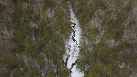 toma aérea de un río nevado desde arriba que se inclina lentamente hacia arriba para revelar bosques y montañas