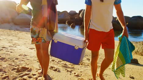 Male-friends-walking-with-ice-box-in-the-beach-4k