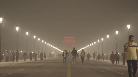 people walking on rajpath road