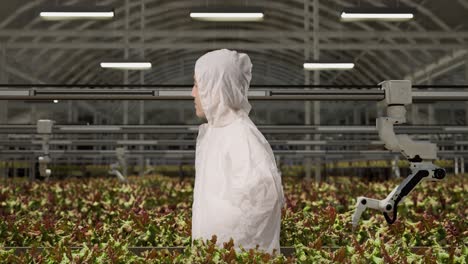 automated vertical farming with robot and worker