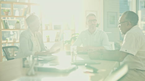 mentor, planning and strategy with business people