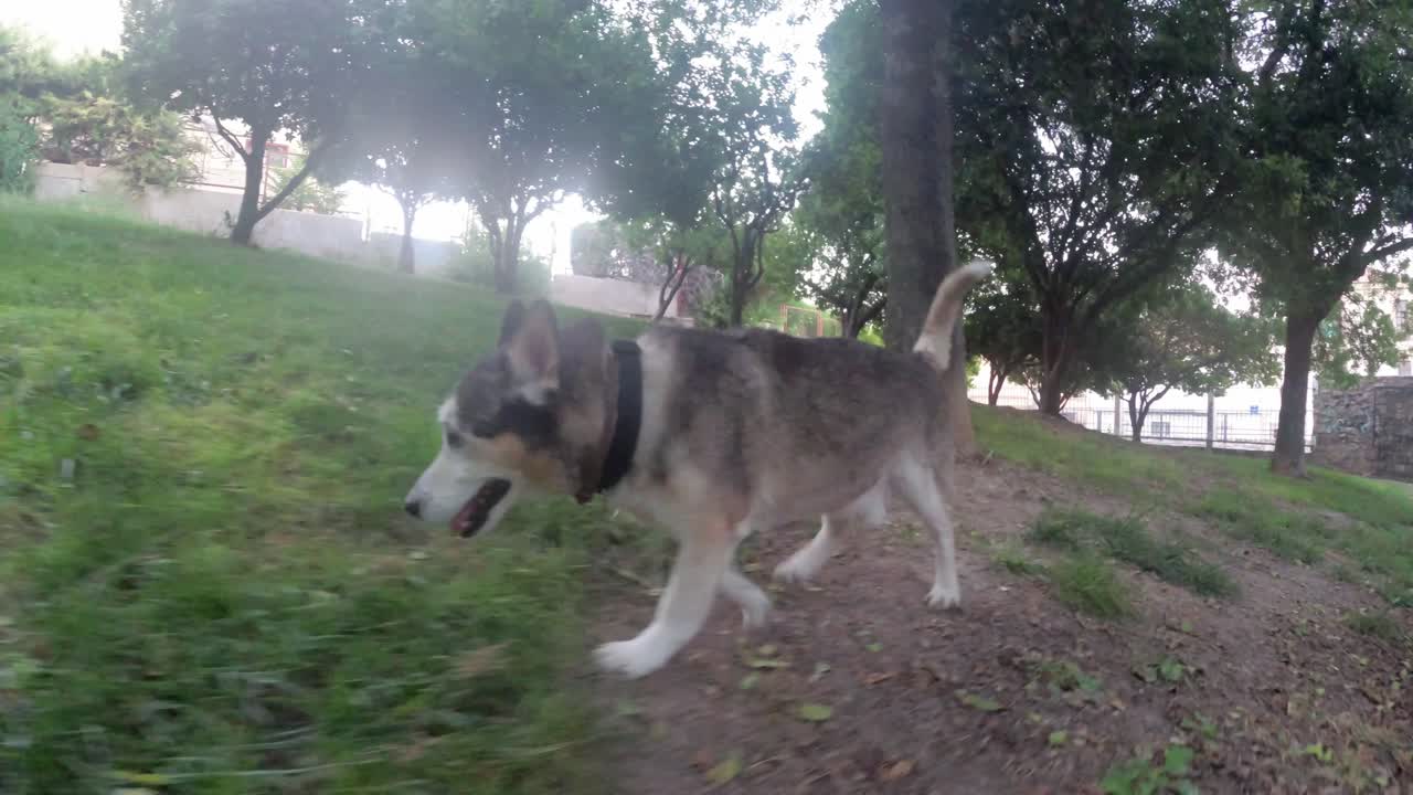 하엔 스페인 도심과 거리 4k 24fps에서 안달루시아 스페인의 이 오래된 도시에 대한 일부 전망