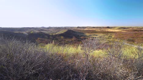 Ländliche-Aussicht-Vom-Getrockneten-Gras,-Wunderschöne-Naturlandschaft-Im-Hintergrund,-Insel-Texel