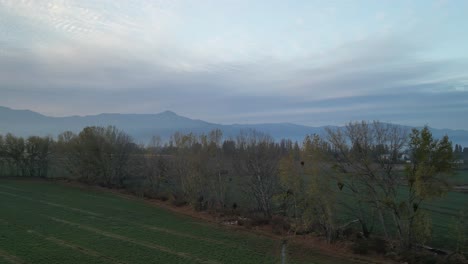 Campo-De-Siembra,-Propiedad-La-Platina