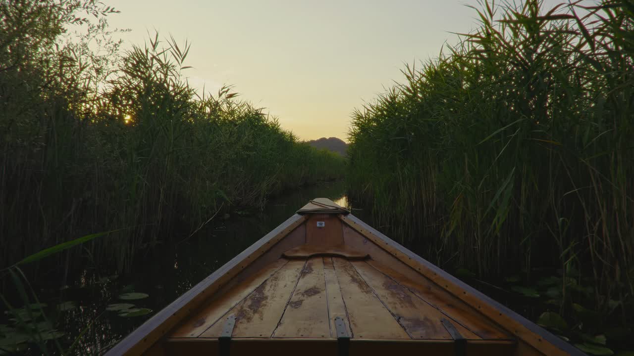 Rowing through the peaceful waters of Skadar Lake with reeds and sunset in view