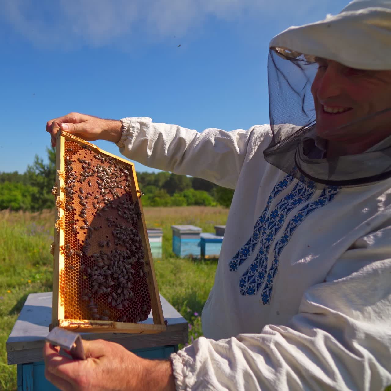 Beekeeper in protective hat. Apiarist inspects frame with bees and talks about their work. Apiary in countryside. Apiculture concept.
