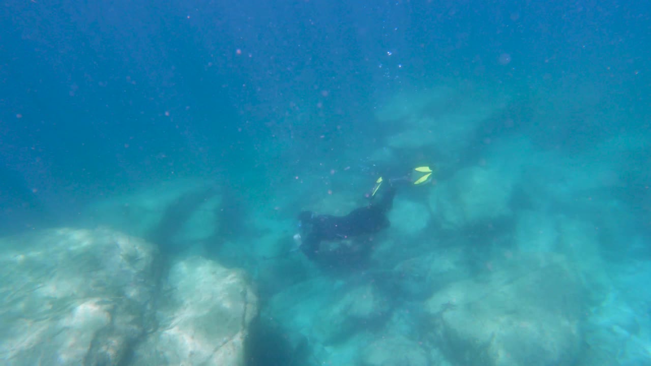 A snorkeler free dives down to the bottom of the reef to get a closer look at the marine life below the ocean surface