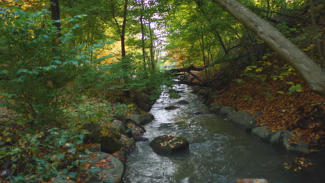 Río-A-Través-Del-Bosque-De-Otoño