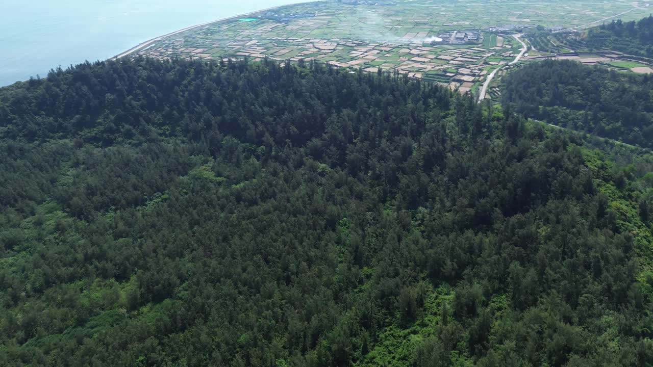 Pan right across a lush tropical forest extending to the coastline, captured on a clear day in Ly Son island
