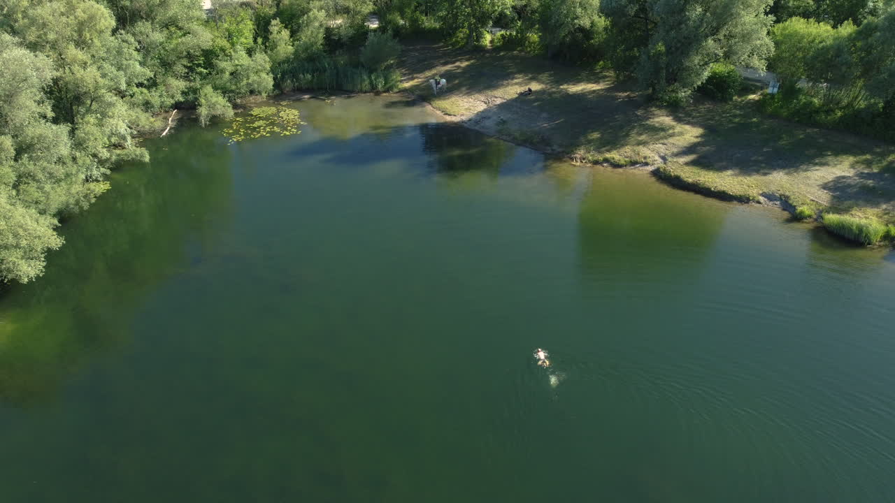 나무 로 둘러싸인 조용 한 호수 에서 수영 하는 사람