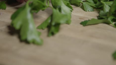 chef picking leaves from fresh flat parsley