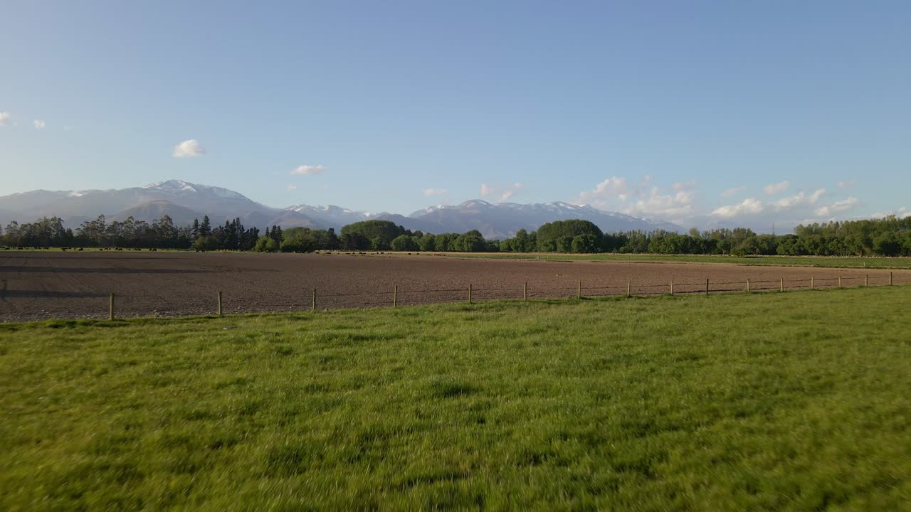antena - pastos verdes y marrones en la cálida luz del atardecer, montañas cubiertas de nieve en el fondo