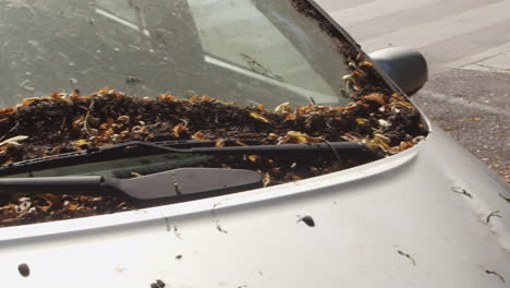 Fall-leaves-cover-parked-front-car-windshield,-pan