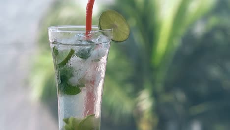 Glas-Mit-Mojito-Cocktail-Und-Stroh-Steht-Gegen-Palmen