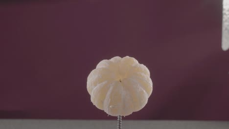 mandarina giratoria con bucle en pantalla de fucsia para la llave de croma