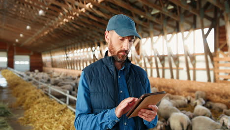 Joven-Agricultor-Caucásico-Con-Gorra-Usando-Tableta-En-Establo-Con-Rebaño-De-Ovejas