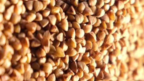 Buckwheat grains rotate in a circle vertical video 4k 2025 07 24 06 09 33 utc.mov | agriculture, background, belarusian cuisine, buckwheat