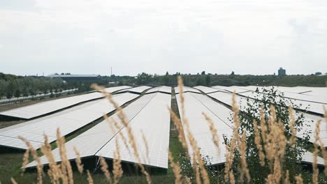 solar panel farm in lommel, belgium