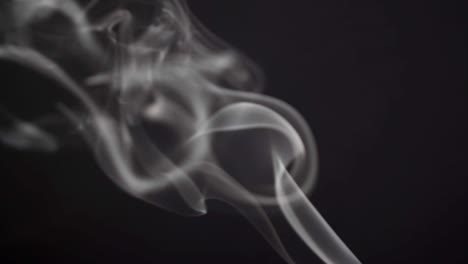 disparo en el estudio. humo grueso gris sobre un fondo negro flotando lentamente en el aire. idea lista con lugar para su diseño y texto. copyspace