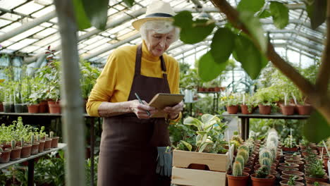 senior woman working in a greenhouse