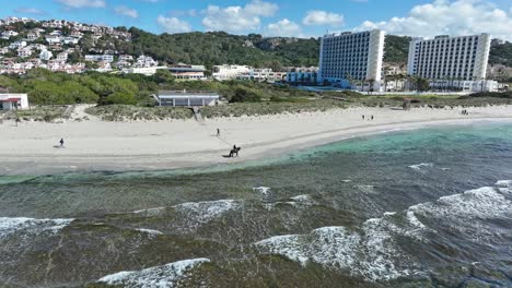 a cinematic aerial view of a black horse in son bou beach with buildings in the background in menorca, spain